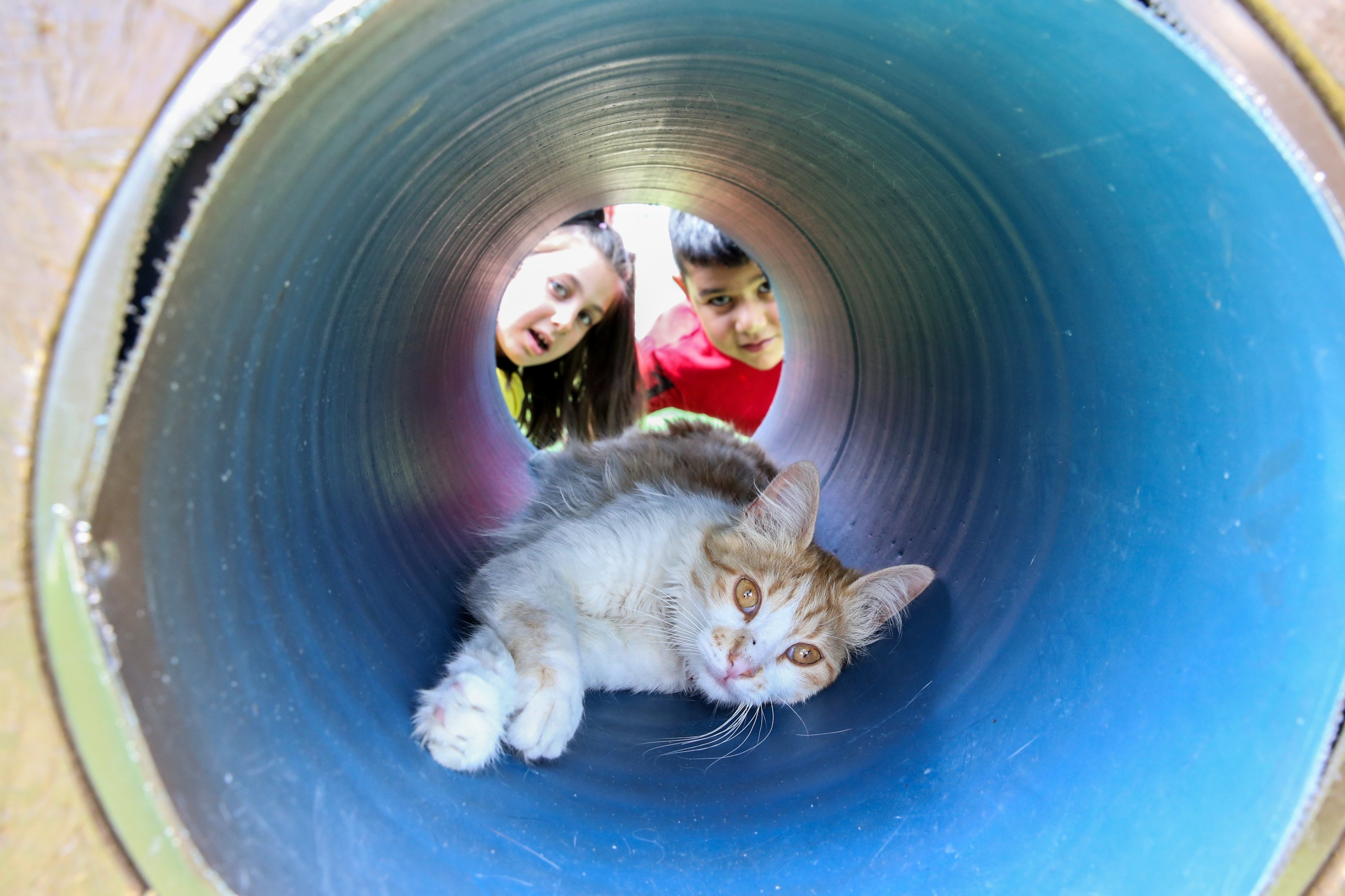 Anak-anak terlihat di belakang kucing di rumahnya yang berbentuk tabung di Kota Kucing, Kayseri, Türkiye, 13 Juli 2023. (Foto AA)