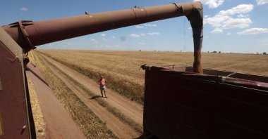 A farmer observes as a combine harvests wheat on a field near Novosofiivka village, Mykolaiv region, Ukraine, July 4, 2023. (AFP Photo)