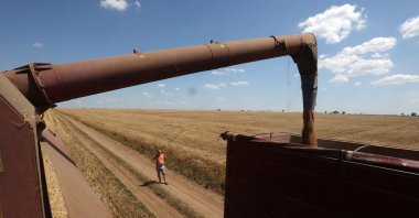 A farmer observes as a combine harvests wheat on a field near Novosofiivka village, Mykolaiv region Ukraine, July 4, 2023. (AFP Photo)