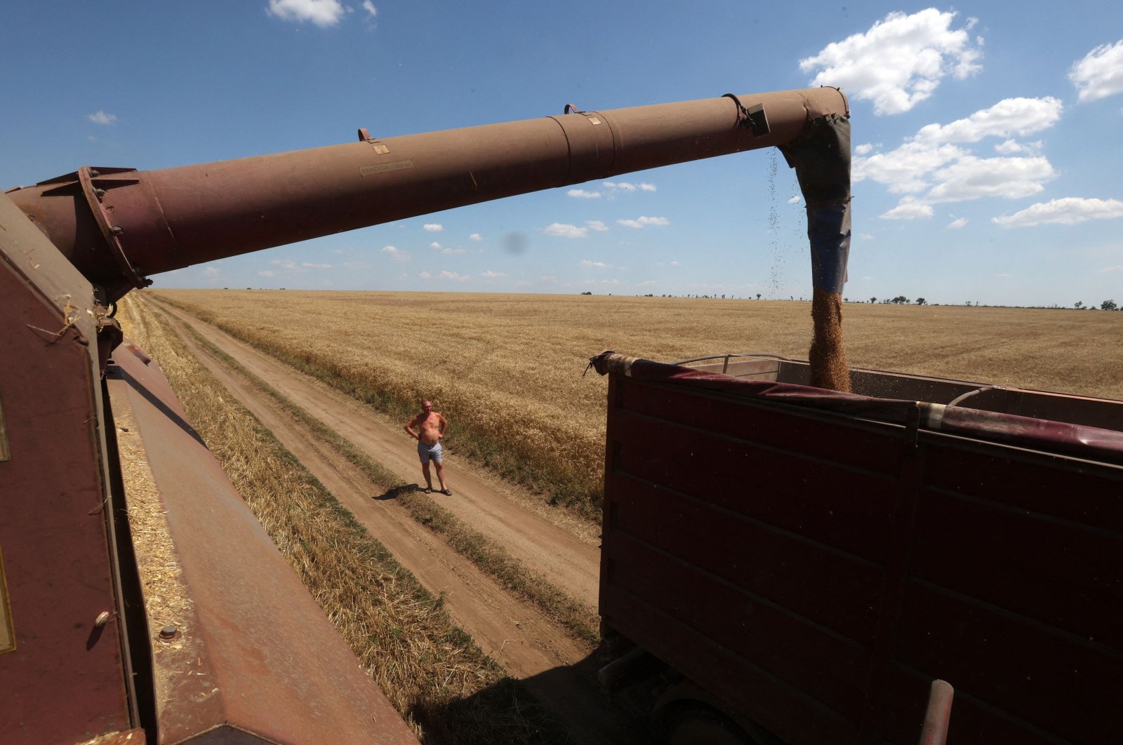A farmer observes as a combine harvests wheat on a field near Novosofiivka village, Mykolaiv region, Ukraine, July 4, 2023. (AFP Photo)