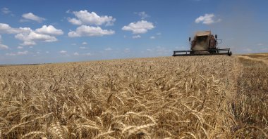 A combine harvests wheat on a field near Novosofiivka village, Mykolaiv region, Ukraine, July 4, 2023. (AFP Photo)