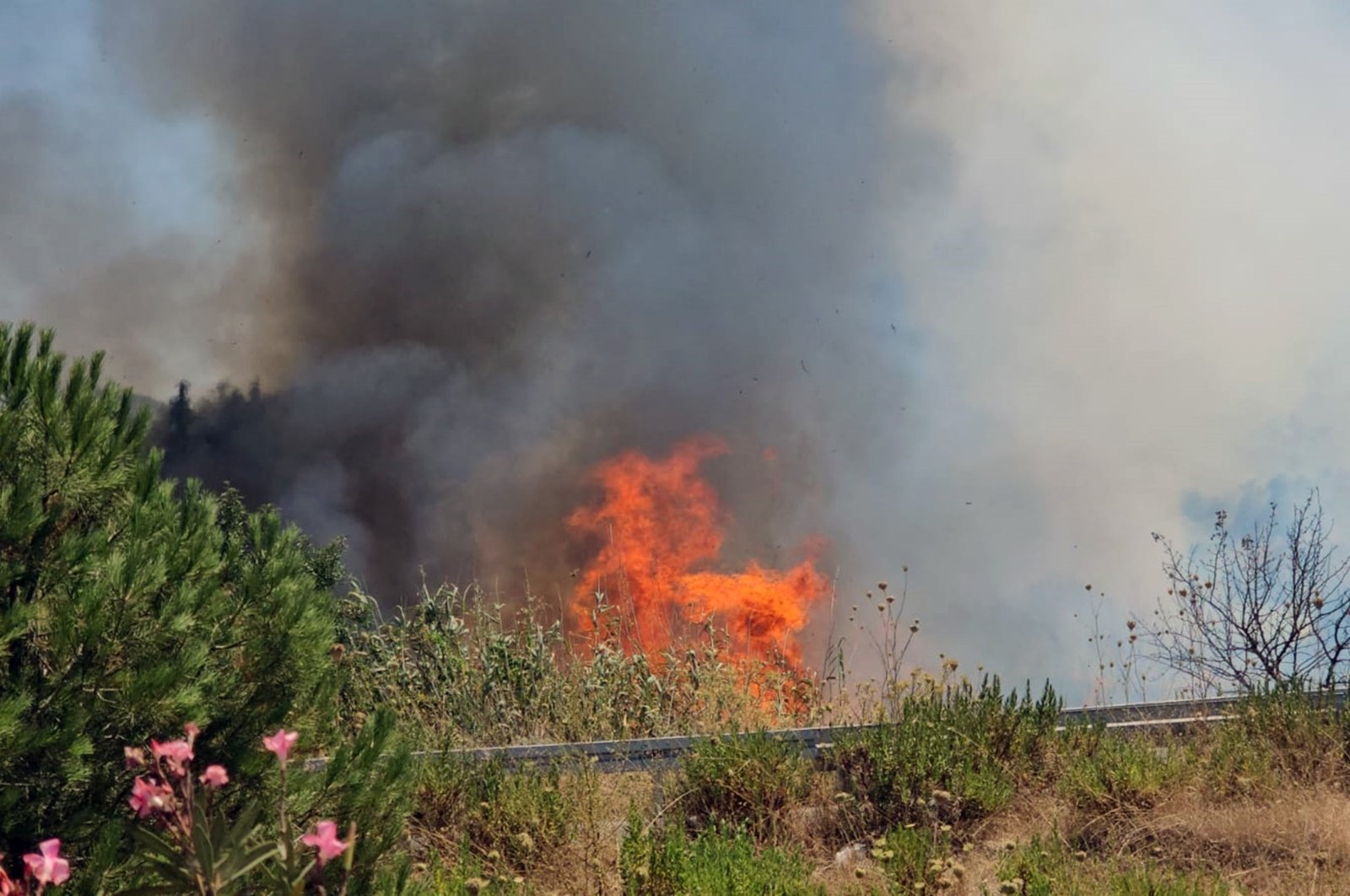 Fire breaks out in forest area of Milas-Bordum Airport, Bordum, Türkiye, July 14, 2023. (IHA Photo)