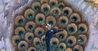 &quot;The Concourse of the Birds,&quot; by Habiballah of Sava. (Photo courtesy of The Met)