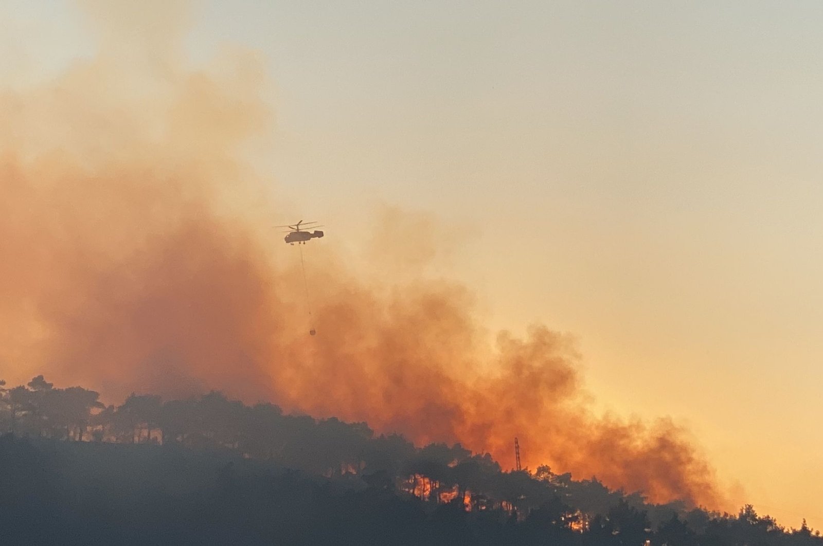 Türkiye memerangi kebakaran hutan di tengah gelombang panas nasional