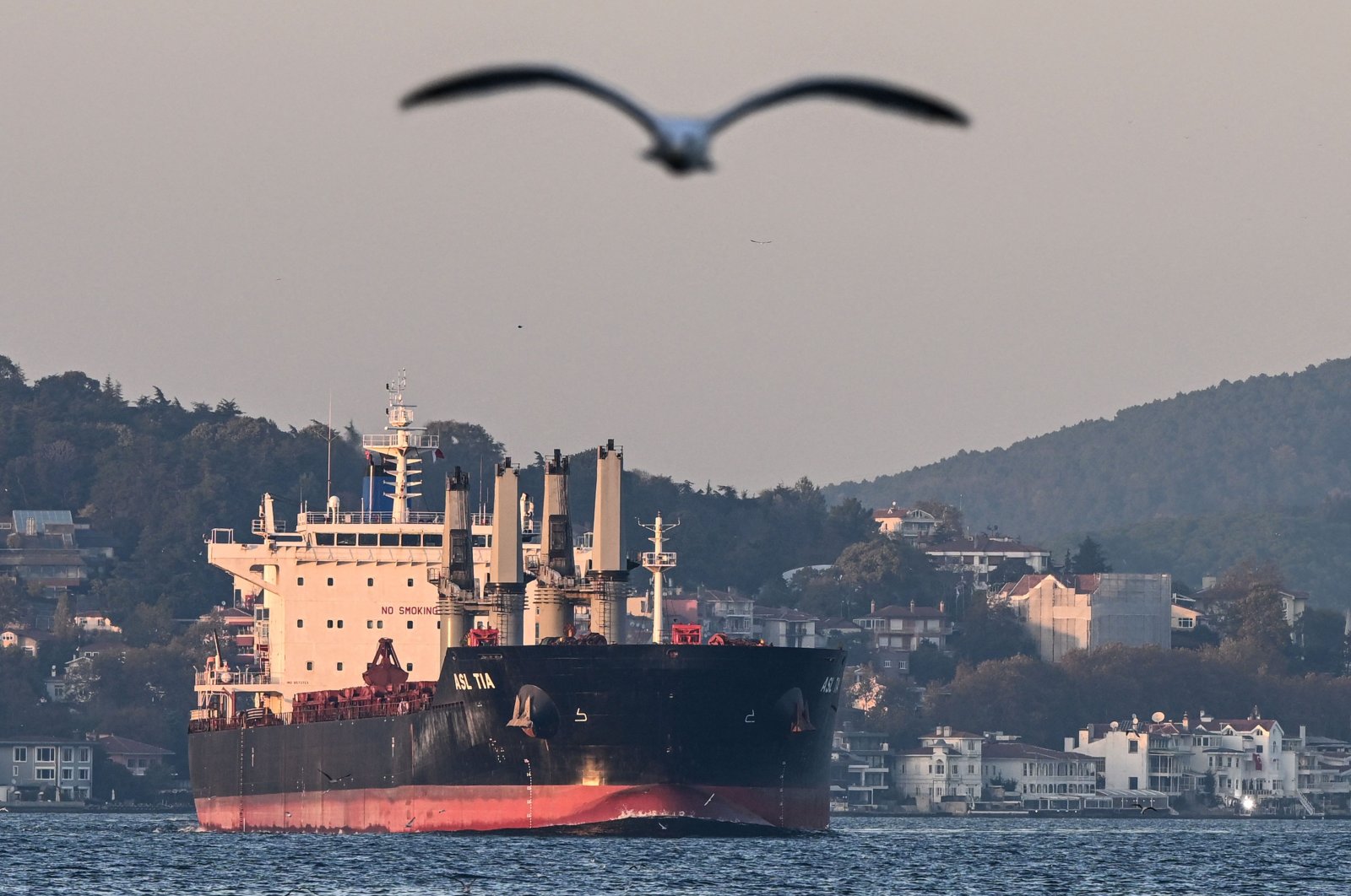 Asl Tia, a cargo vessel carrying Ukrainian grain, sails on the Bosporus to the Marmara Sea, in Istanbul, Türkiye, Nov. 2, 2022. (AFP Photo)