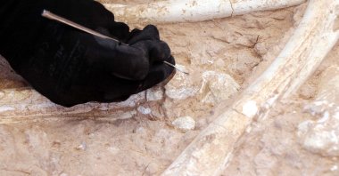 Archaeologists work at an excavation site where a 7.5-million-year-old giraffe bone was discovered, in Kayseri, Türkiye, July 12, 2023. (AA Photo)