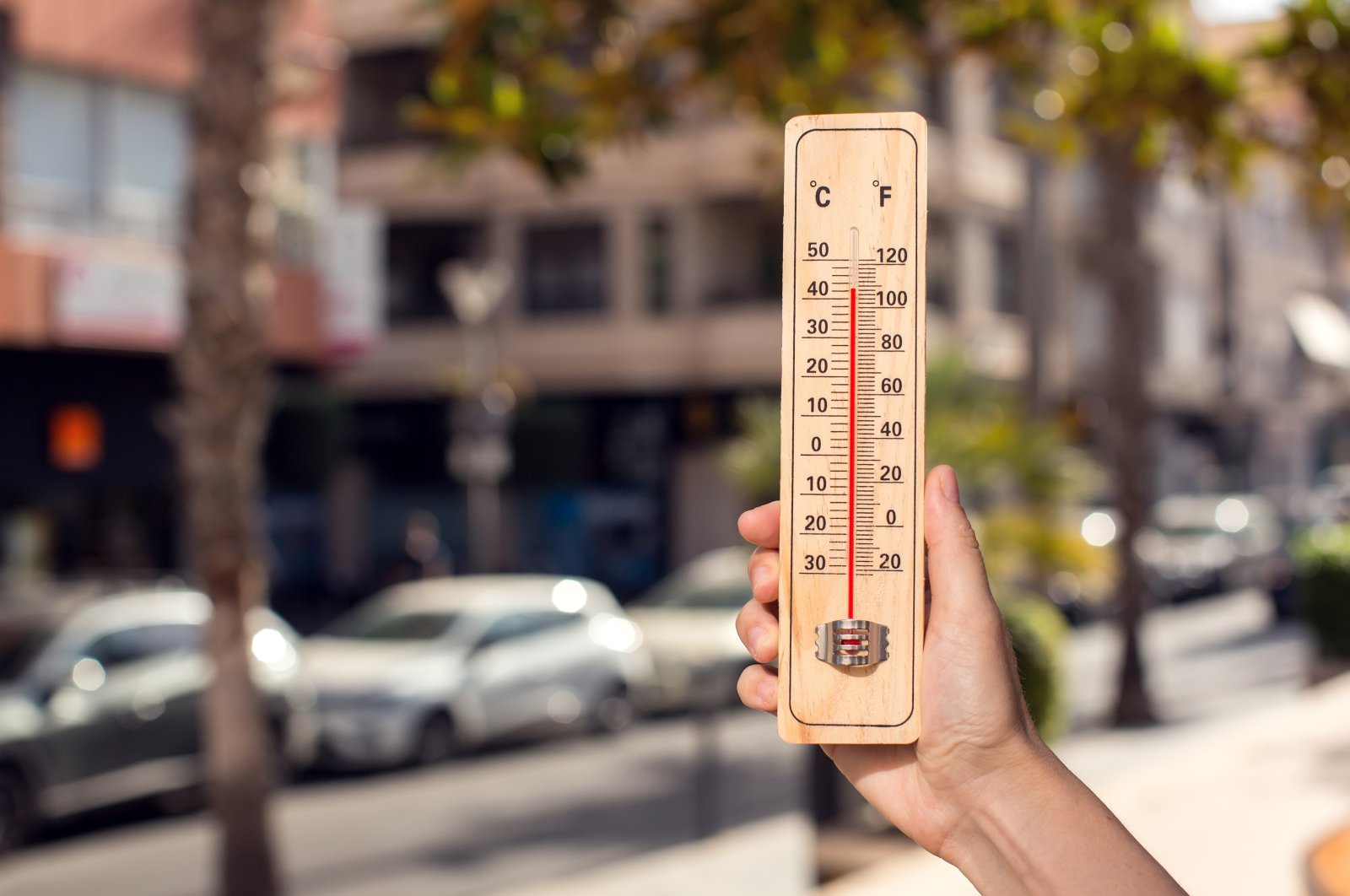 The Mediterranean basin, where Türkiye is situated, faces warming of 1.5 times the global rise in terms of hot extremes. (Shutterstock Photo)