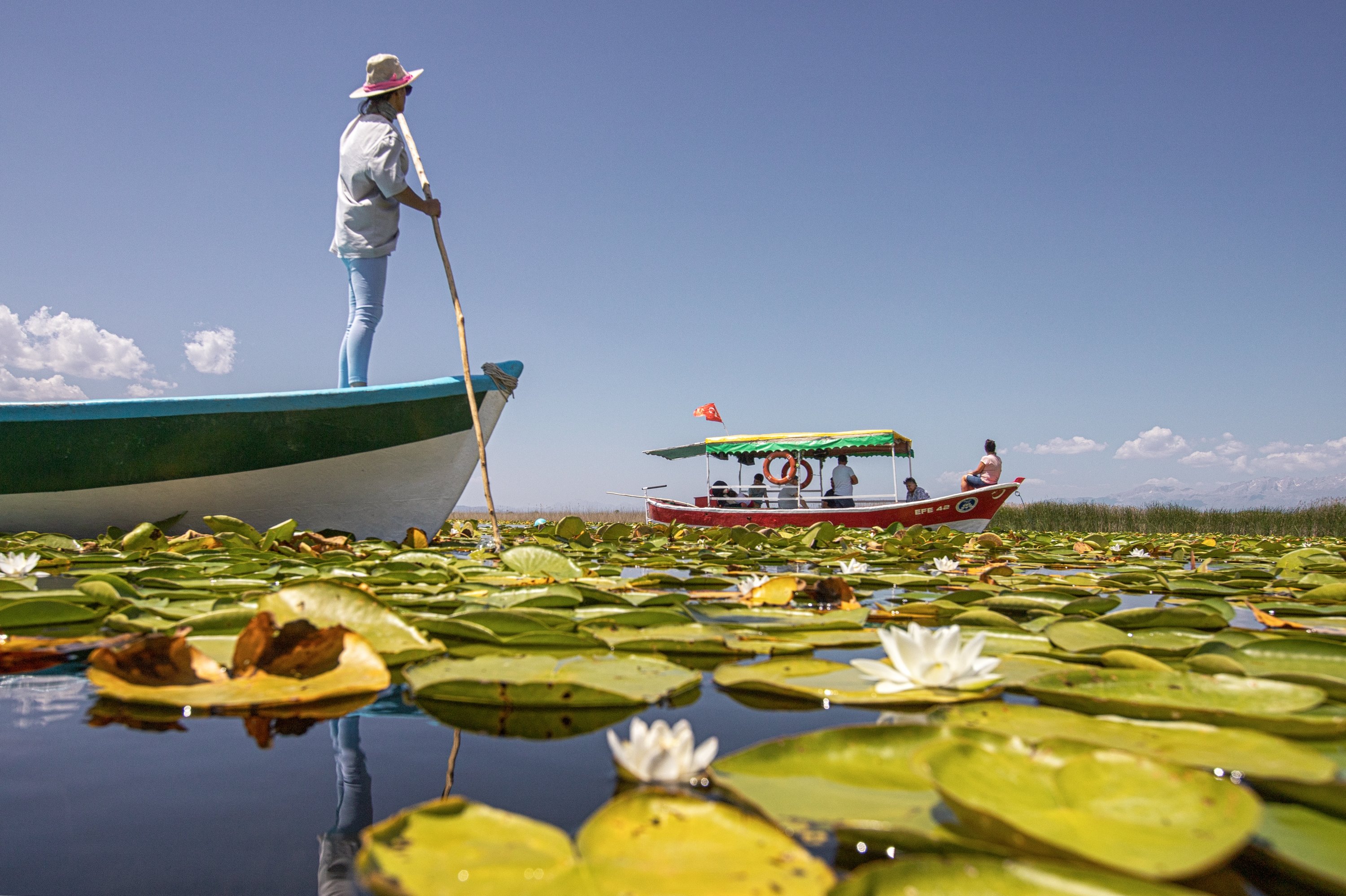 A man maneuvers his boat through the water lilies, Lake Beyşehir, Konya, Türkiye, July 18, 2023. (AA Photo)