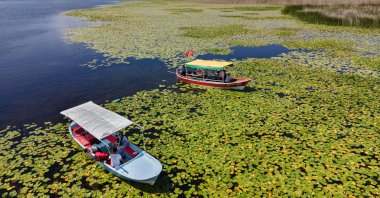 A boat glides through the lilies in Lake Beyşehir, Konya, Türkiye, July 18, 2023. (AA Photo)