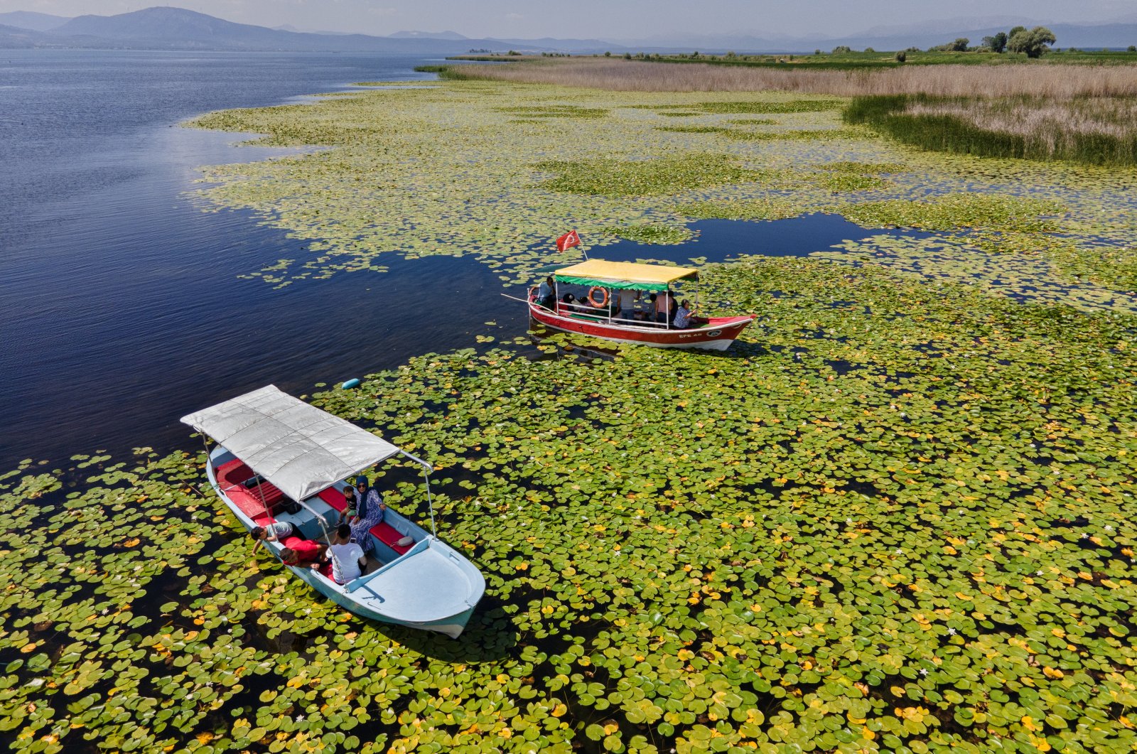 Bunga lili air yang indah meningkatkan popularitas tur perahu di Konya Türkiye