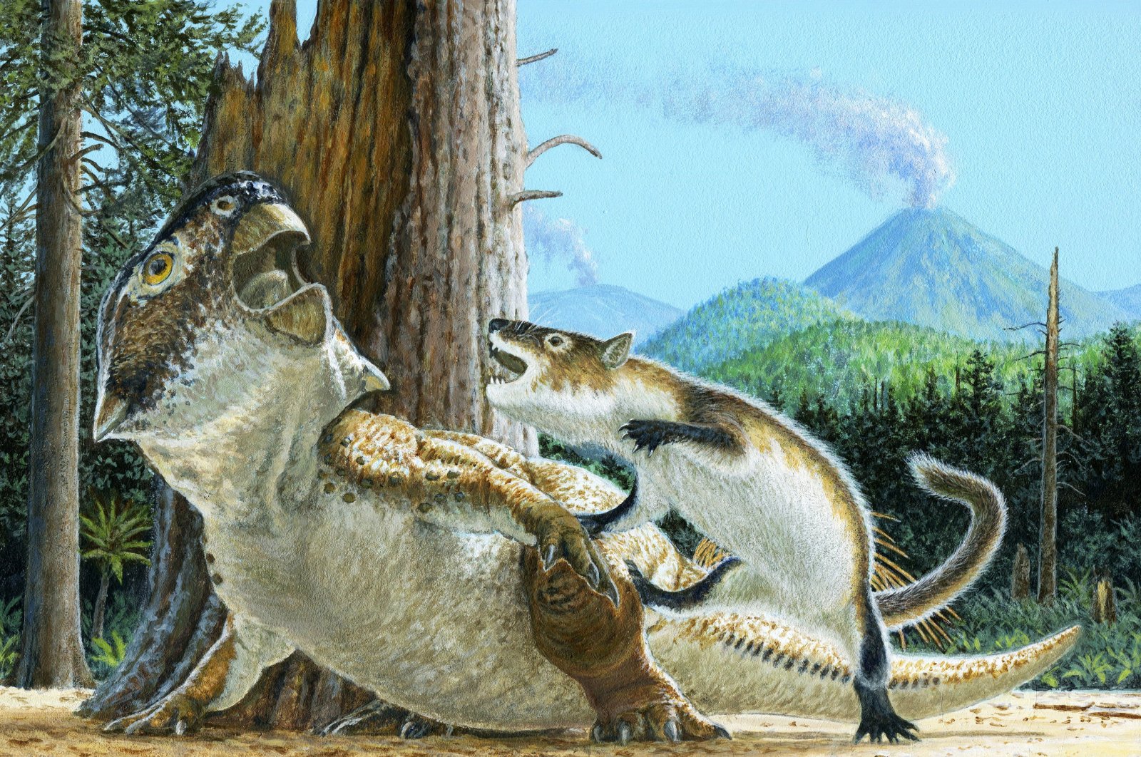 Mamalia, dinosaurus ditemukan terkunci dalam pertempuran sengit sejak 125 juta tahun lalu