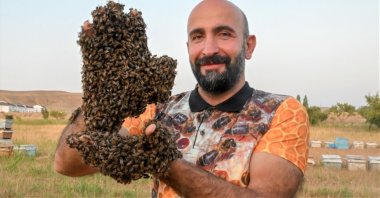 Abdulvahap Semo covered in bees weighing dozens of kilograms, Van, eastern Türkiye, July 21, 2023. (AA Photo)
