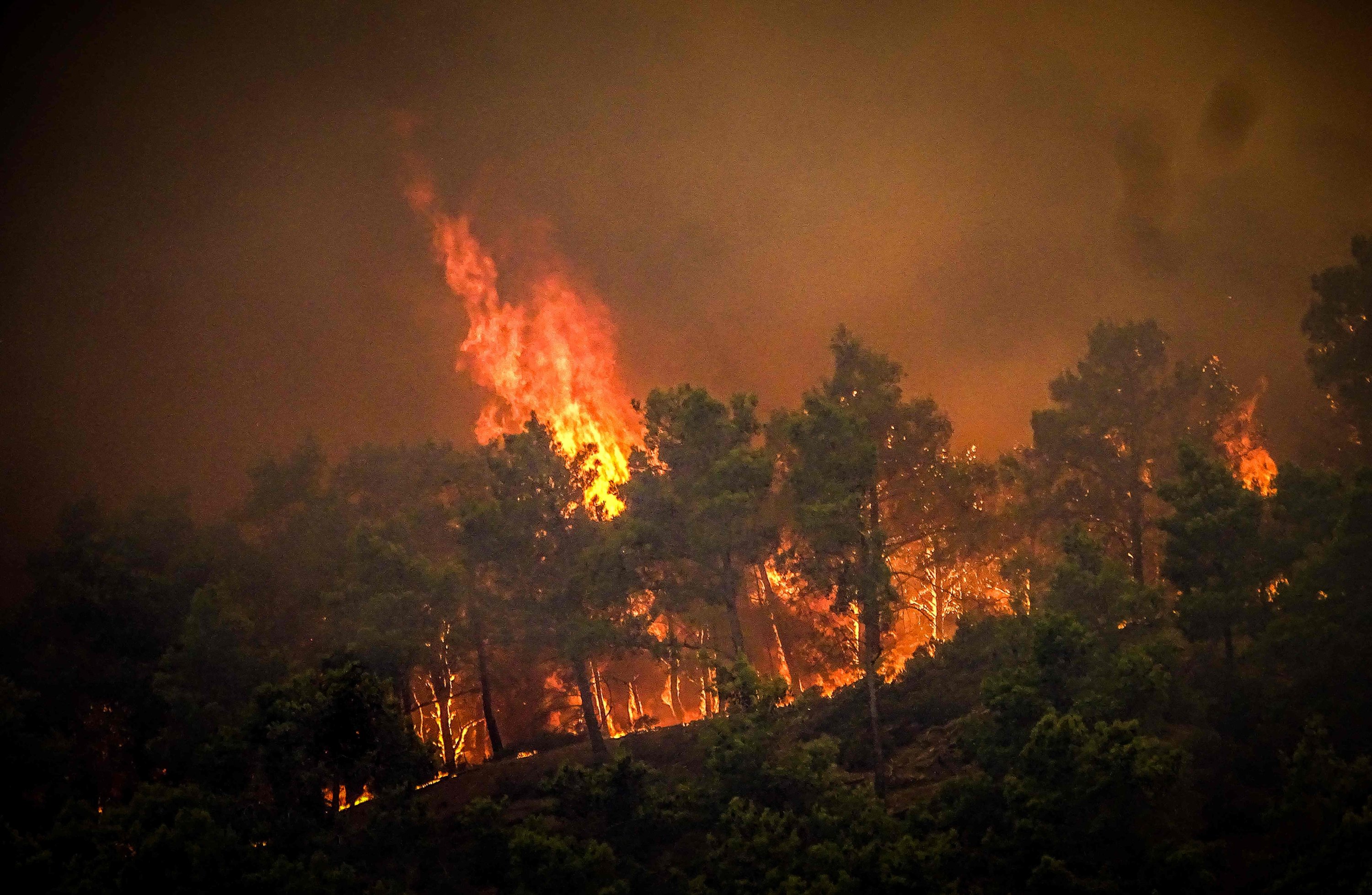Pohon pinus terbakar dalam kebakaran hutan di pulau Rhodes, Yunani, 22 Juli 2023. (AFP Photo)