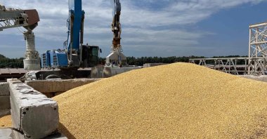 A pile of maize grains on the pier at the Izmail Sea Port, Odesa region, Ukraine, July 22, 2023. (AFP Photo)