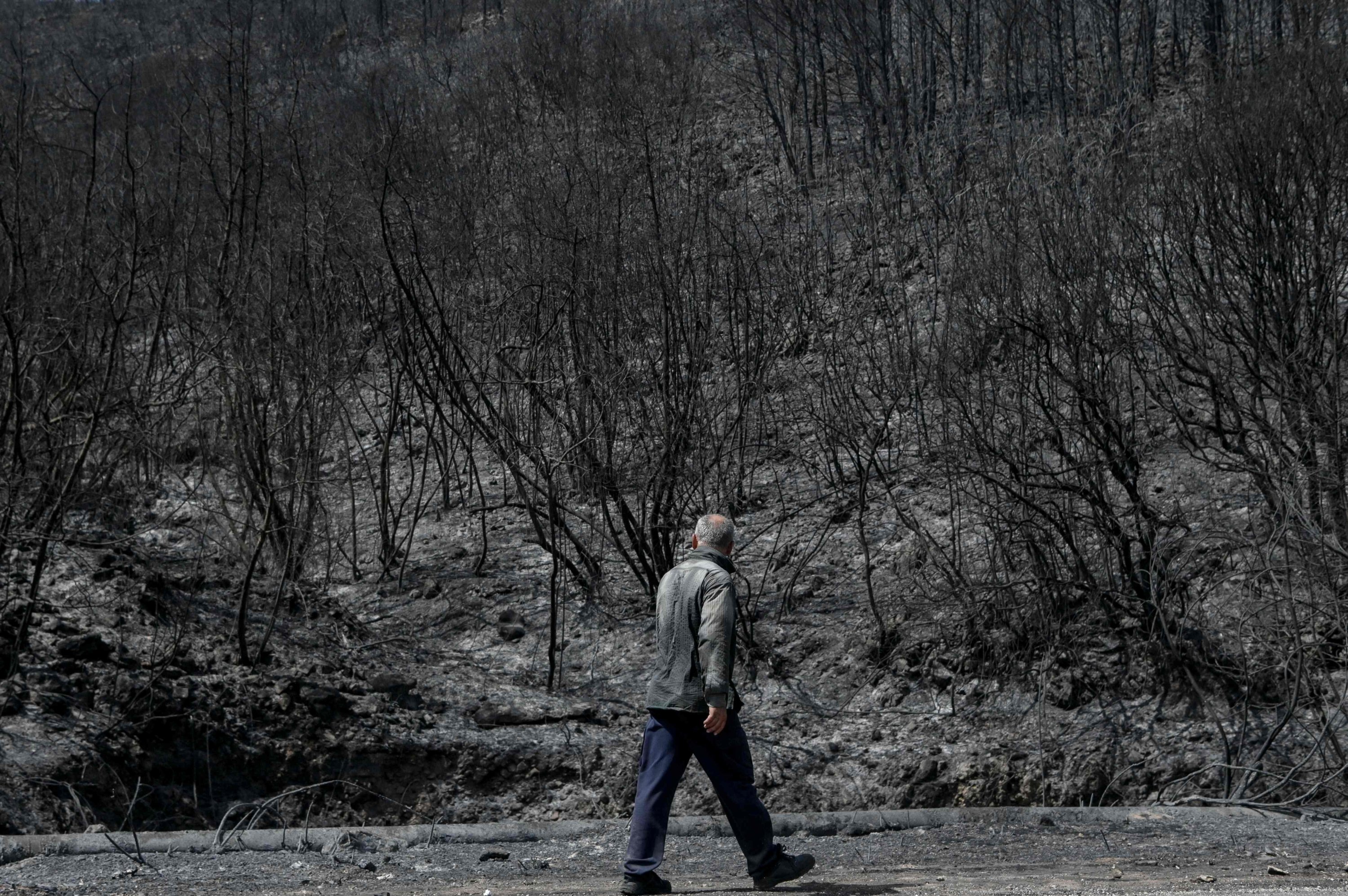 A man walks past a burned area after a fire near Kassiopi, Greece, July 26, 2023. (AFP Photo)