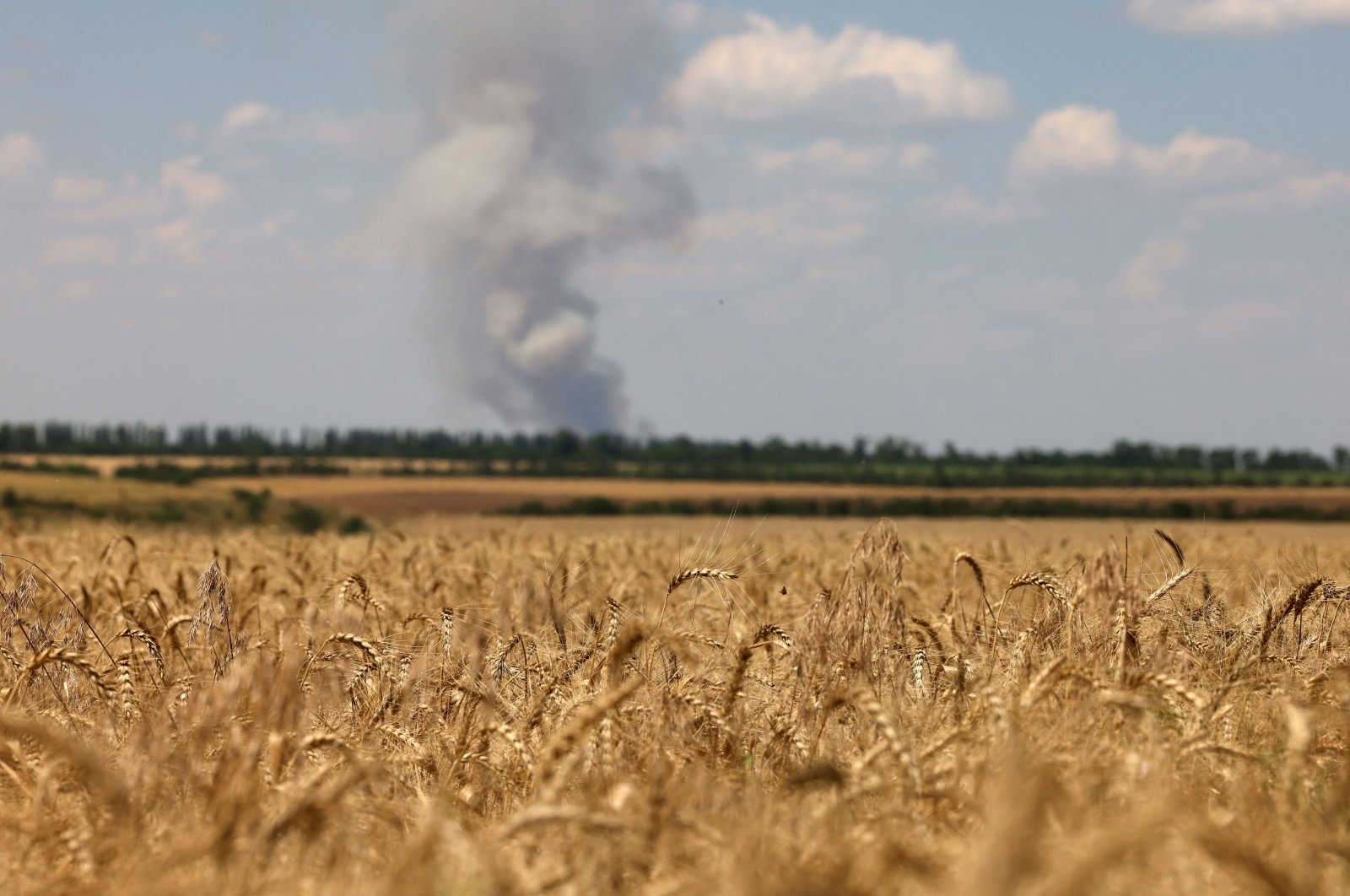 A wheat field is seen near the town of Snihurivka, Mykolaiv region, Ukraine, July 4, 2023. (AFP Photo)