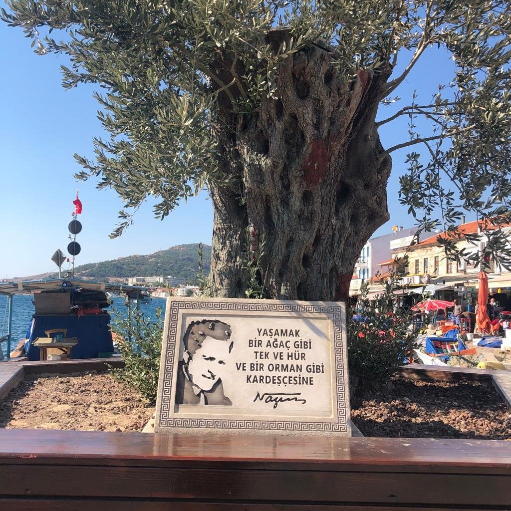 Photo shows a sign dedicated to Turkish poet Nazım Hikmet's image that reads his famous line 'To live! Like a tree alone and free. Like a forest in brotherhood' as seen from the Foça harbor, Izmir, western Türkiye. (Photo by Emre Başaran)