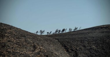Scorched land following a wildfire near Vati, on the island of Rhodes, Greece, July 26, 2023. (AFP Photo)