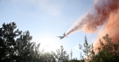 An airplane is deployed extinguishing fire over the forest in Menekşe, Muğla, western Türkiye, Aug. 1, 2023. (AA Photo)