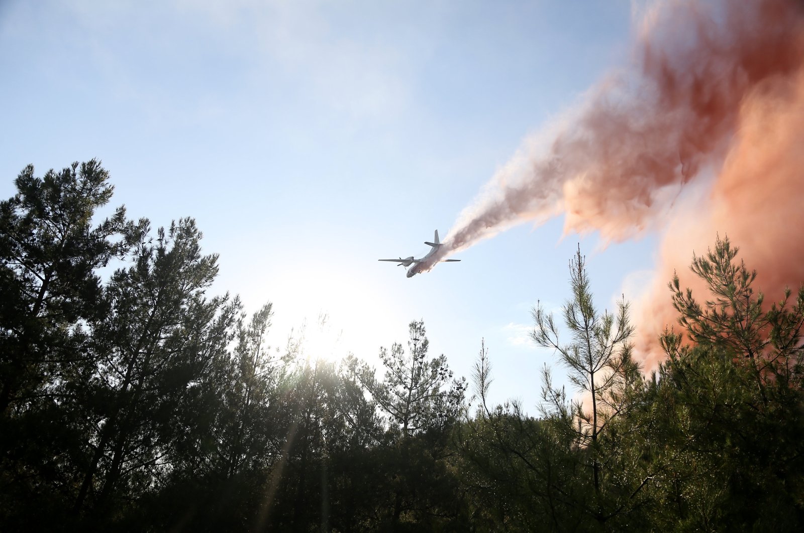 ‘Dog days sweep over Türkiye, raising risk of potential wildfires’