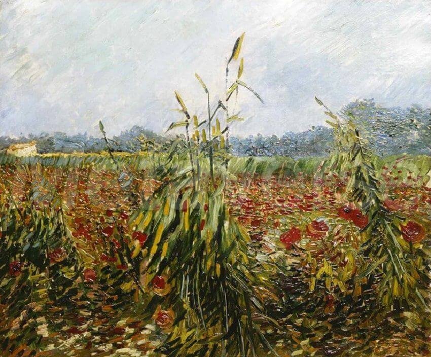 &quot;Green Corn Stalks&quot; by Vincent Van Gogh. (Wikipedia Photo)