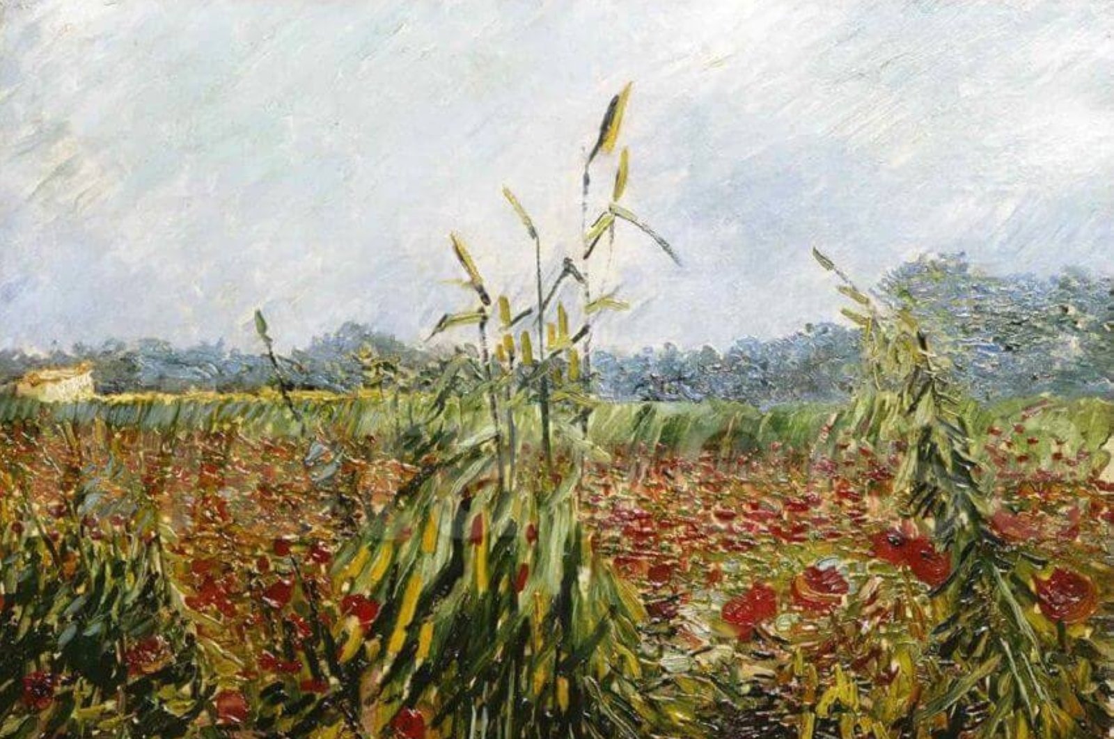4-month-old babies show artistic preferences for Van Gogh's landscapes - Vimarsana News