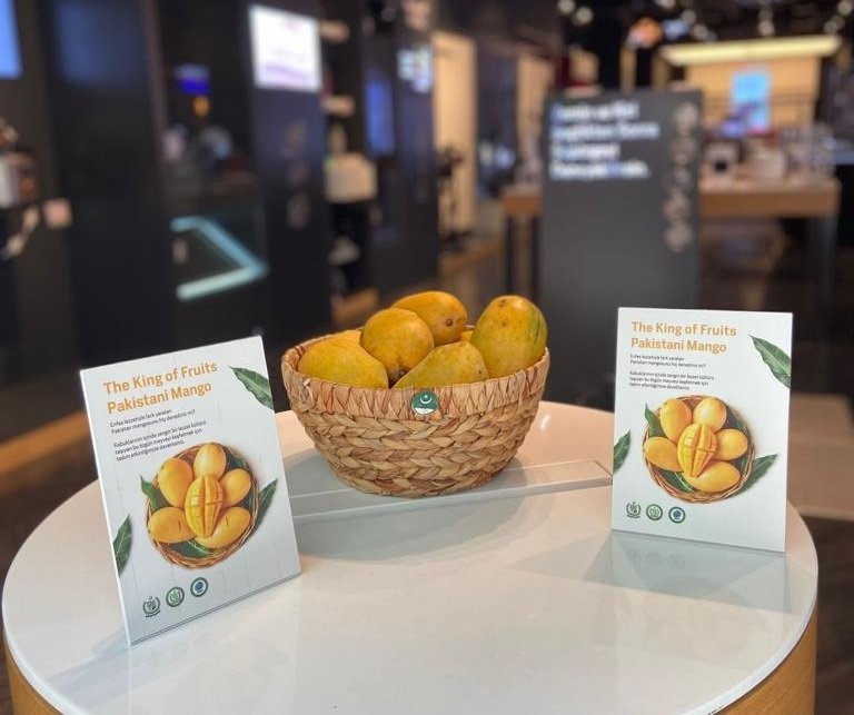 A basket of mango, Istanbul, Türkiye, Aug. 4, 2023. (Photo courtesy of Embassy of Pakistan)