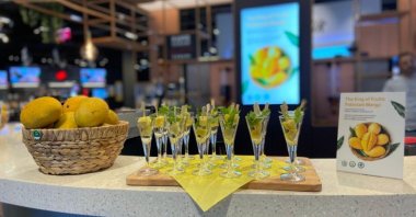 An assortment of mouthwatering mango-based recipes, Istanbul, Türkiye, Aug. 4, 2023. (Photo courtesy of Embassy of Pakistan)