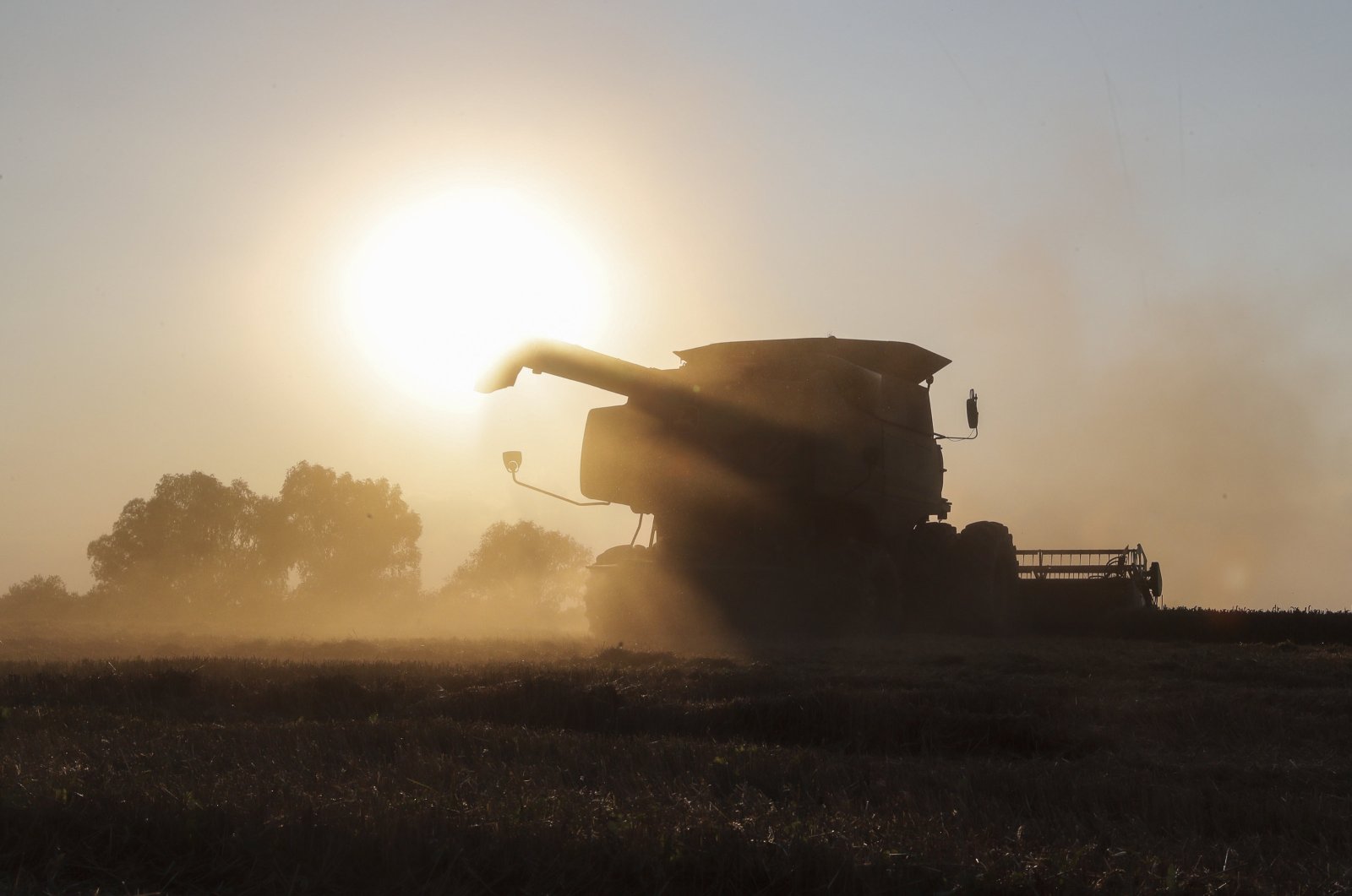Ukraine exports over 500K tons more grain this season