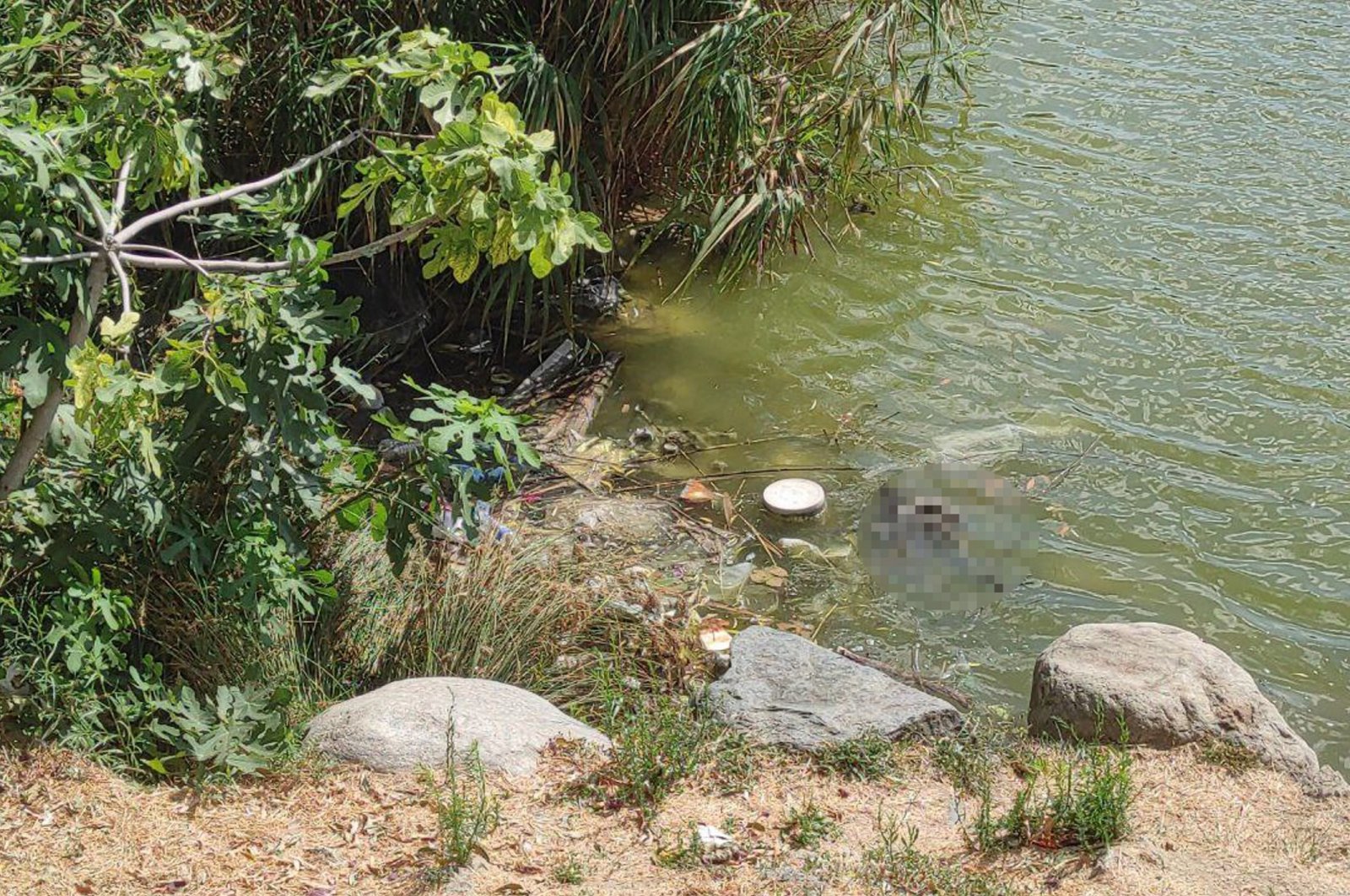 Trash lines the edges of the pond in Bakırköy Botanical Park, Istanbul, Türkiye, Aug. 8, 2023. (AA Photo)