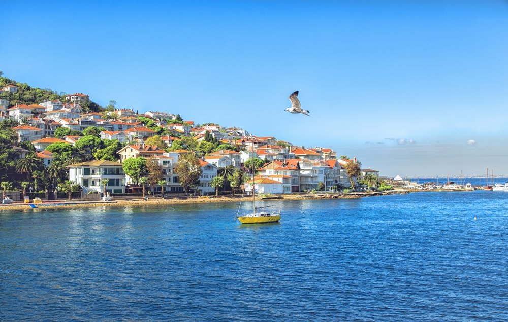 A view of Kınalada island from the sea, the Princes' Island, Istanbul, Türkiye. (Shutterstock Photo)