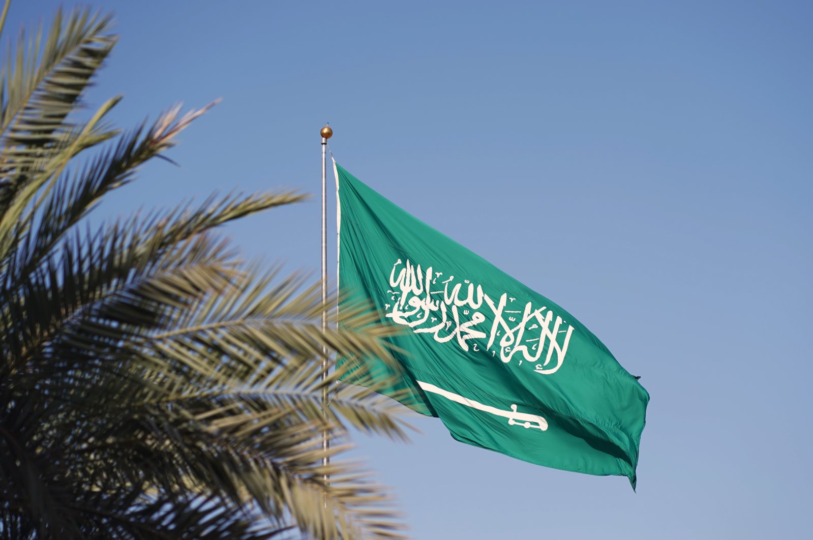Saudi Arabia&#039;s flag behind a palm tree in this undisclosed location. (Shutterstock File Photo)