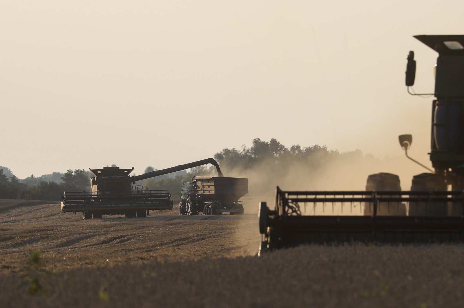 A combined harvester works in a field near Kyiv, Ukraine, Aug. 4, 2023. (EPA Photo)