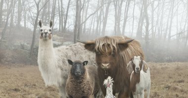 &quot;The Farm Family Project&quot; by Rob MacInnis. (Photo courtesy of 212 Photography Istanbul)