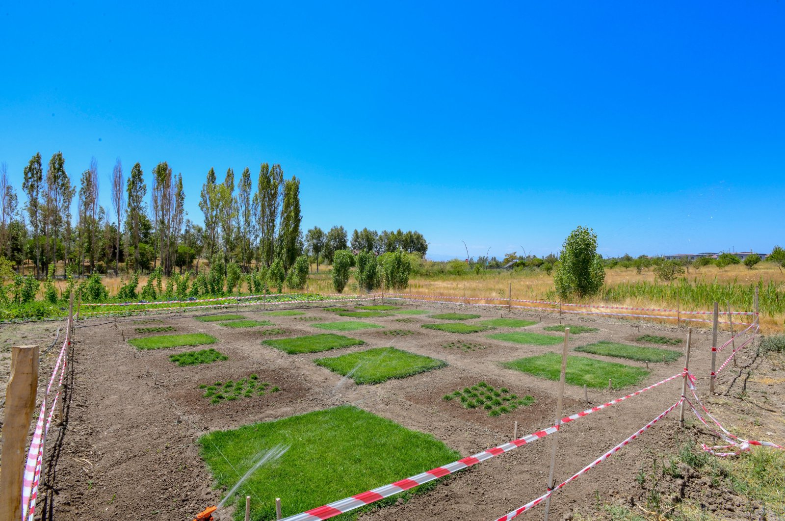 A field hosts a variety of seeds cultivated in Van, Türkiye, Aug. 16, 2023. (AA Photo)