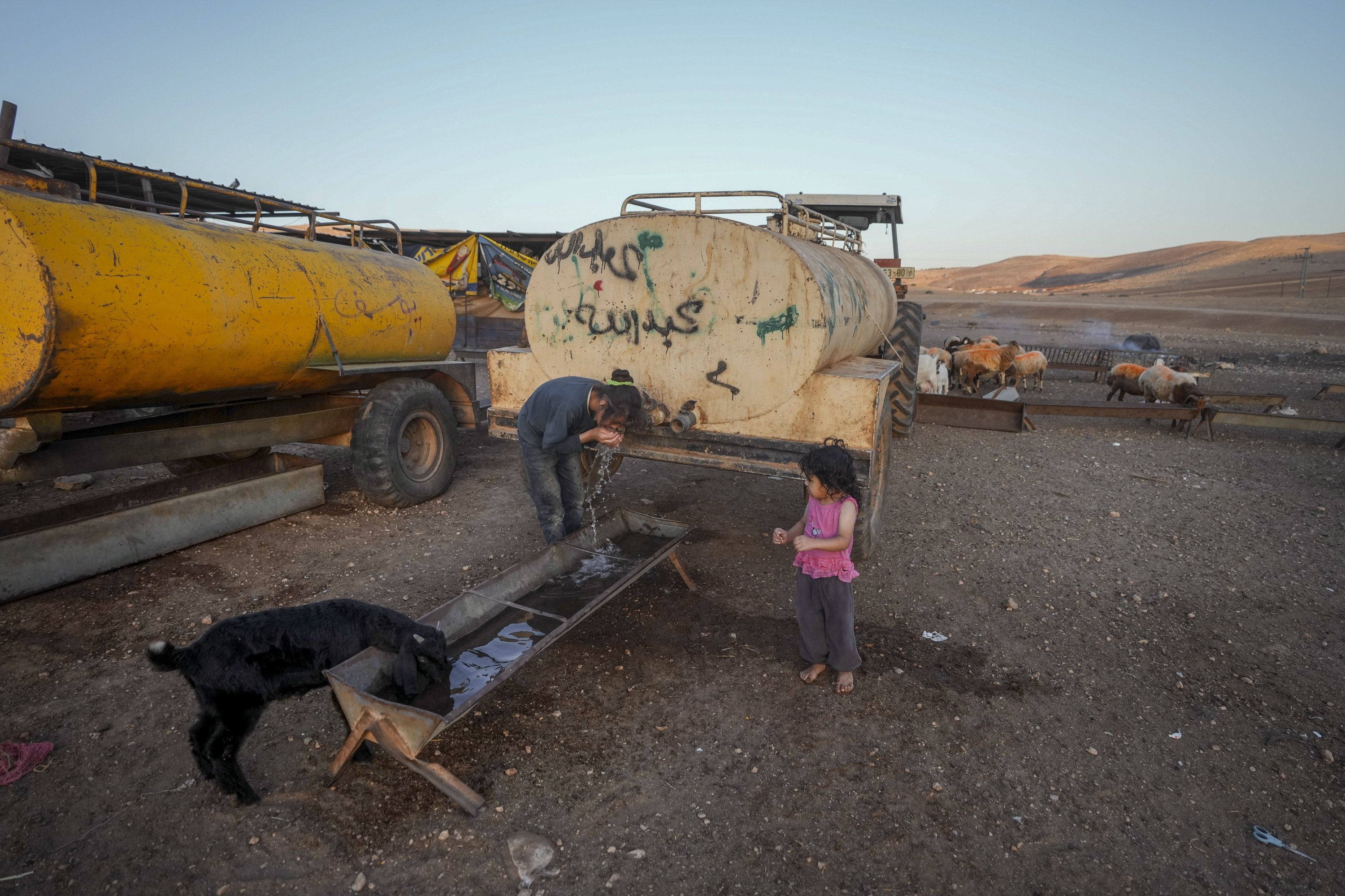 Palestinian Bedouins drink water from a water supply truck in Jordan Valley, Aug.8, 2023. (AP Photo)