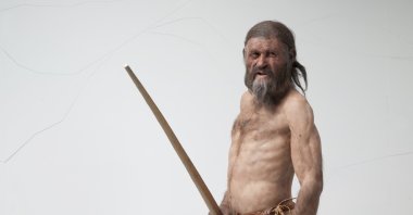 This photo provided by the South Tyrol Museum of Archaeology shows a reconstruction of "Oetzi the Iceman" sculpted by Alfons & Adrie Kennis. (AP Photo)