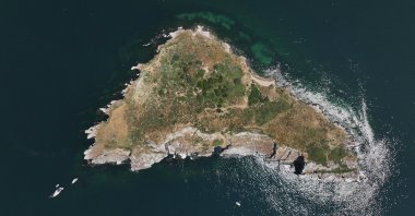 The Marine Life Conservation Society monitors sea creatures and bird species on the island and the Mediterranean Monk Seal cave in the region on Tavşan Island, Türkiye. (AA Photo)