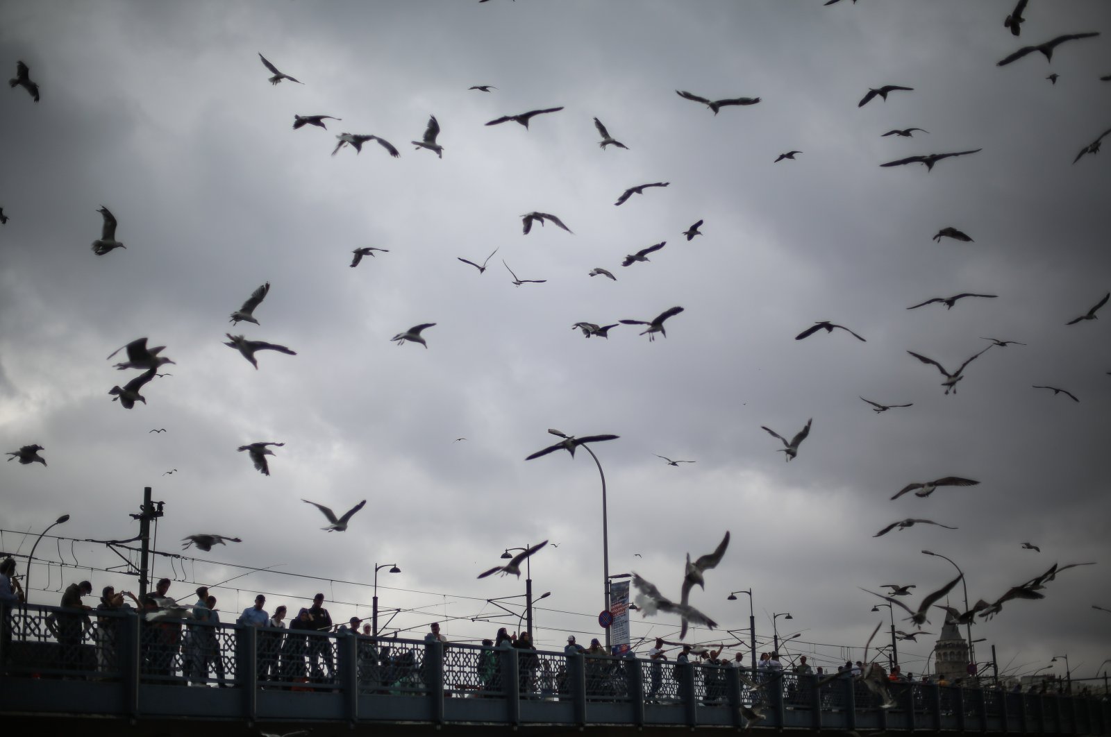 People spend time as seagulls fly over the Galata Bridge, in Istanbul, Türkiye, Aug. 13, 2023. (Getty Images Photo)