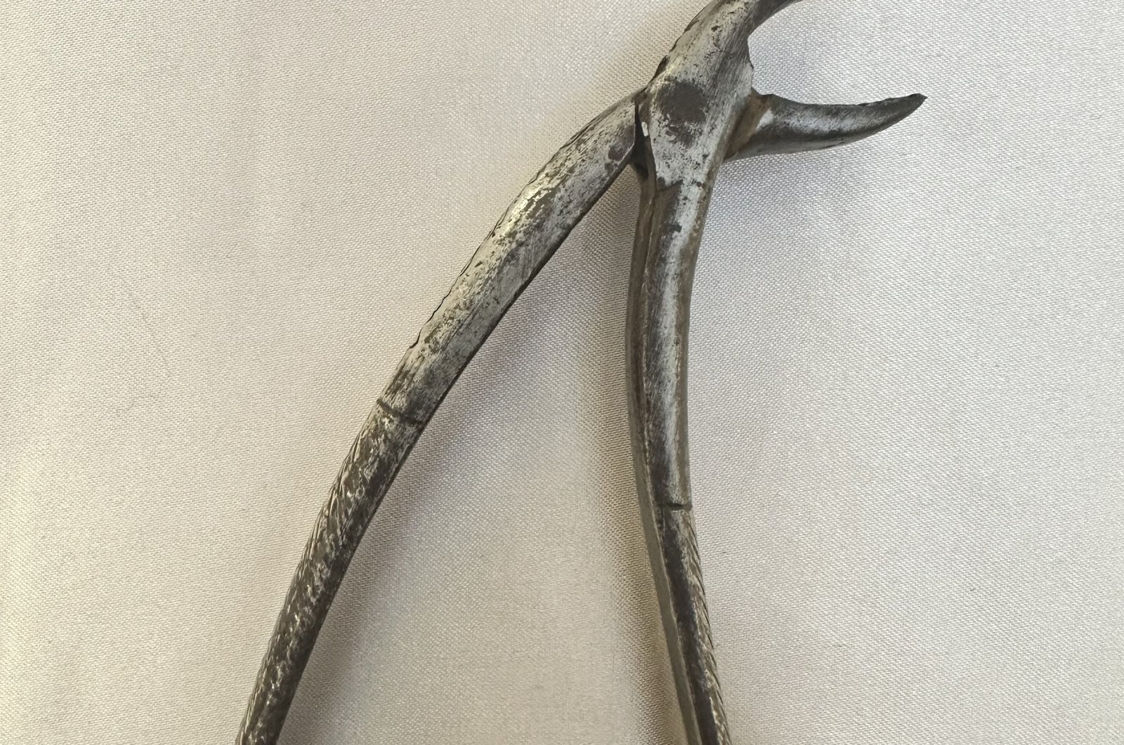 Dental forceps produced during the Ottoman era in 1898 are now displayed at the country&#039;s first Dental Health Museum, Istanbul, Türkiye. (Photo courtesy of the Dental Health Museum)