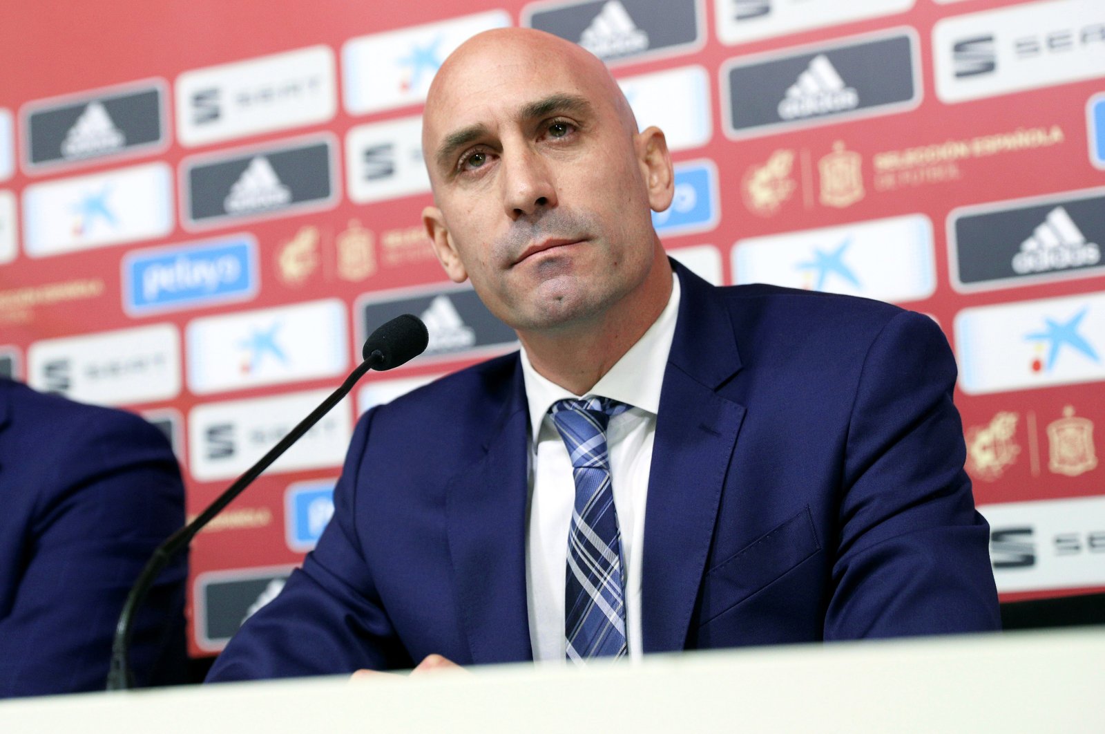 FIFA bans Spanish football chief Rubiales for 90 days over kiss | Daily ...