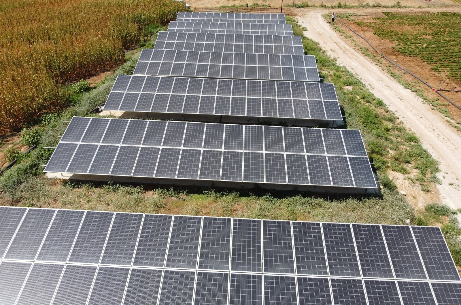 Solar panels are seen at a farm in Adana province, southern Türkiye, Aug. 4, 2023. (IHA Photo)