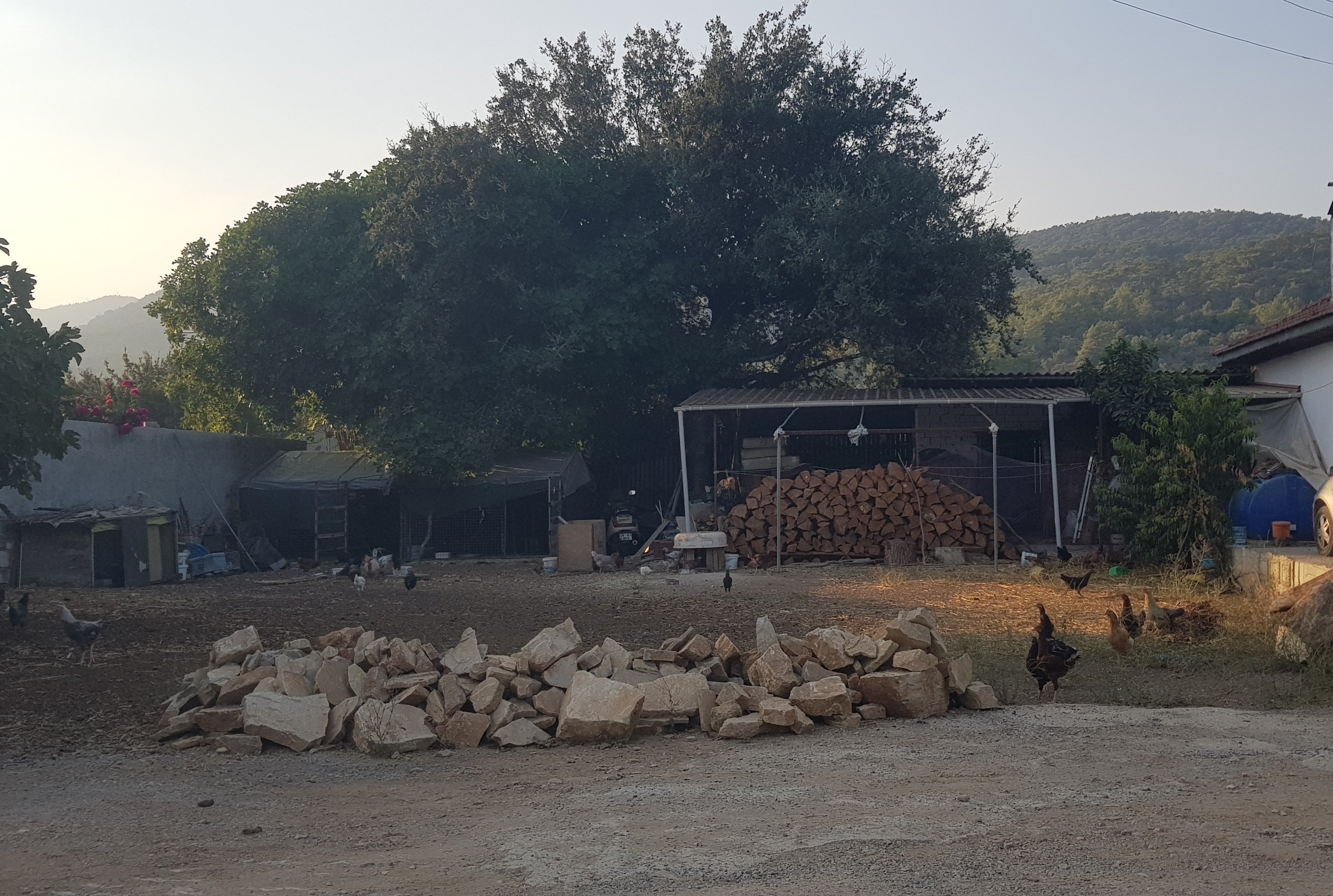 One of the rural villages of Türkiye. (Photo by Leyla Yvonne Ergil)