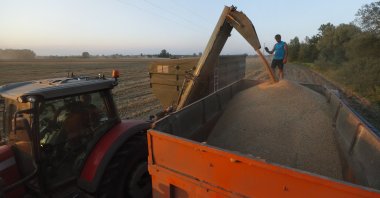  A farmer watches as a combined harvester pours grain onto a truck in a field near Kyiv, Ukraine, Aug. 4, 2023. (EPA Photo)