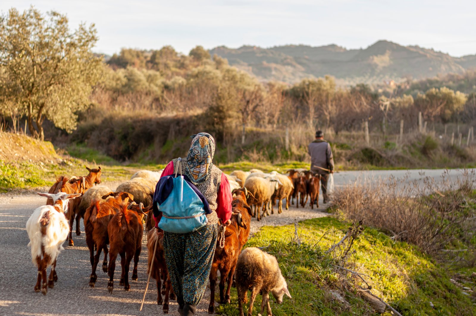 Rural rules: 10 sustainable practices by villagers in Türkiye
