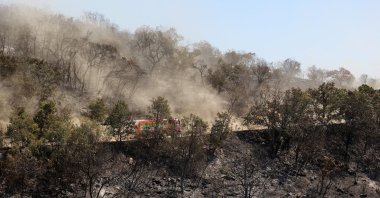 Fire truck drives among charred trees as a wildfire burns at Dadia National Park in the region of Evros, Greece, Aug. 29, 2023. (Reuters Photo)