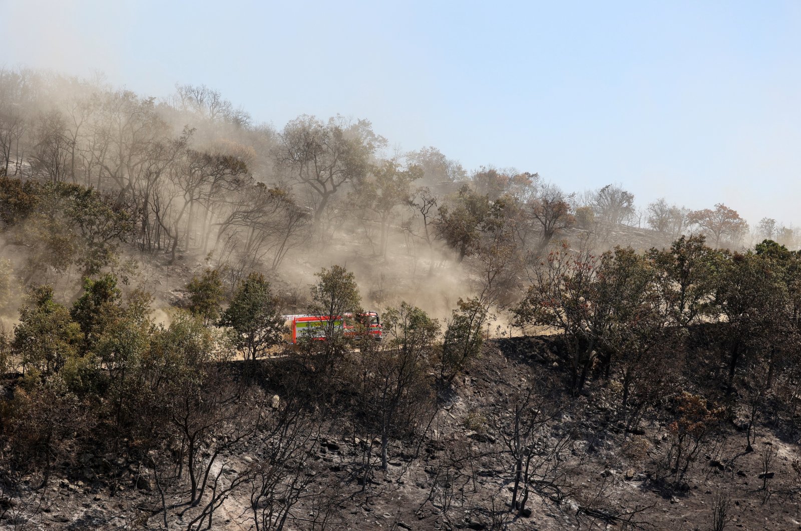 Fire truck drives among charred trees as a wildfire burns at Dadia National Park in the region of Evros, Greece, Aug. 29, 2023. (Reuters Photo)