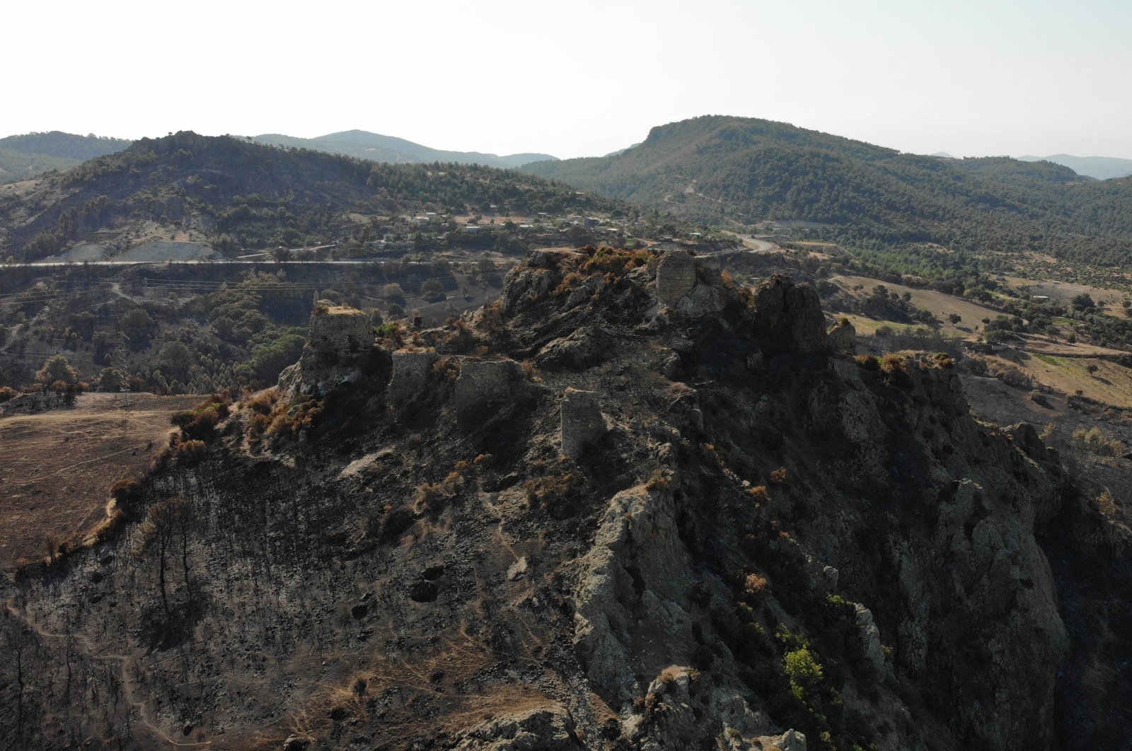 1.5M saplings to reforest fire-ravaged area in Türkiye’s Çanakkale