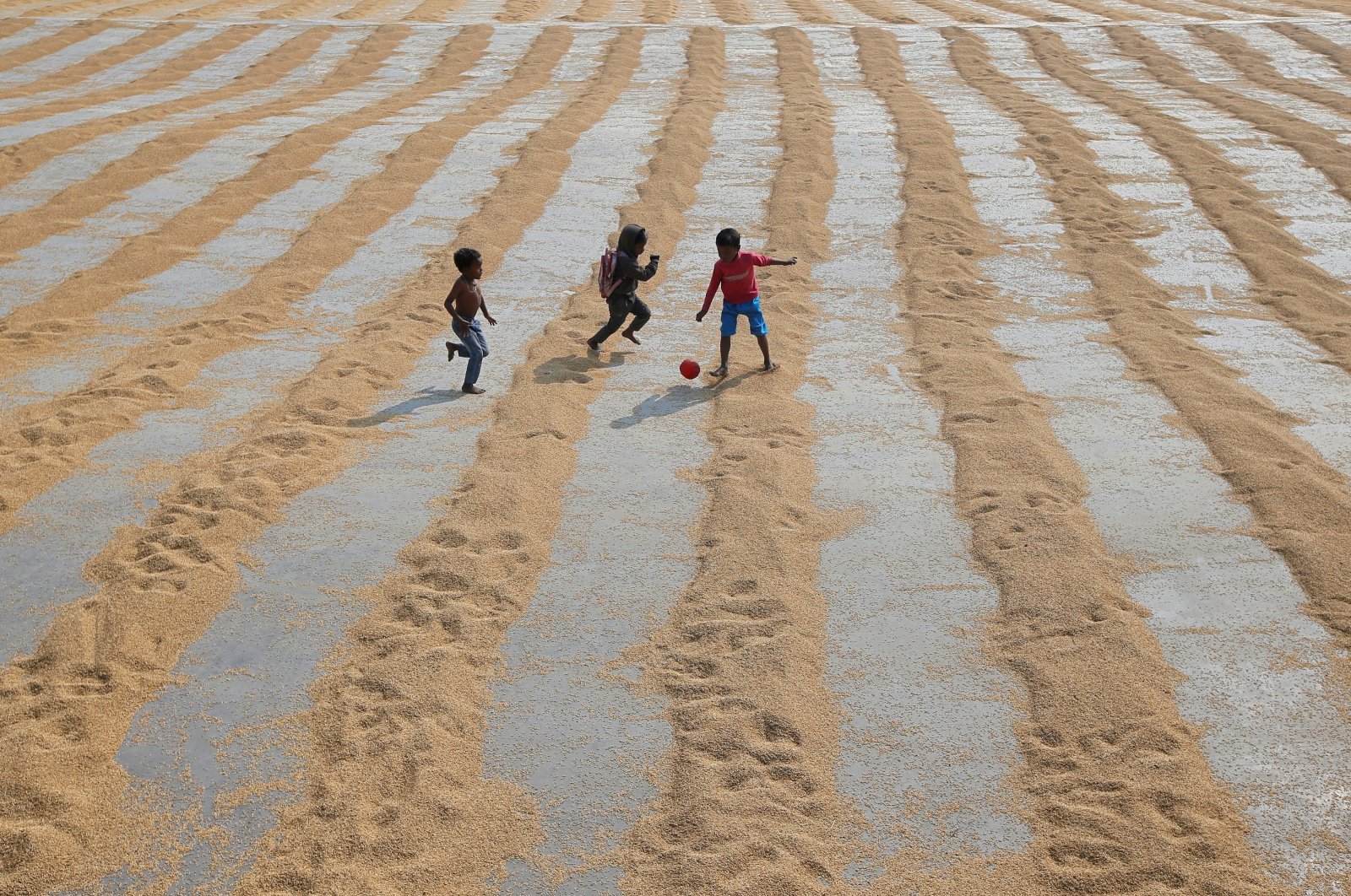 Children play with a ball after rice is spread for drying at a rice mill on the outskirts of Kolkata, India, Jan. 31, 2019. (Reuters Photo)