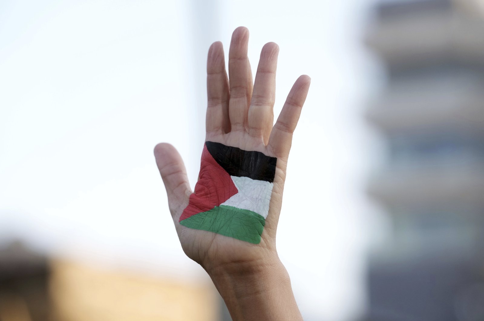 A protester wears a representation of the Palestinian flag at a weekly demonstration in solidarity with residents of the Sheikh Jarrah neighborhood in east Jerusalem, where Palestinian families are under imminent threat of forced displacement from their homes by Israeli settlers, Jan. 7, 2022. (AP Photo)
